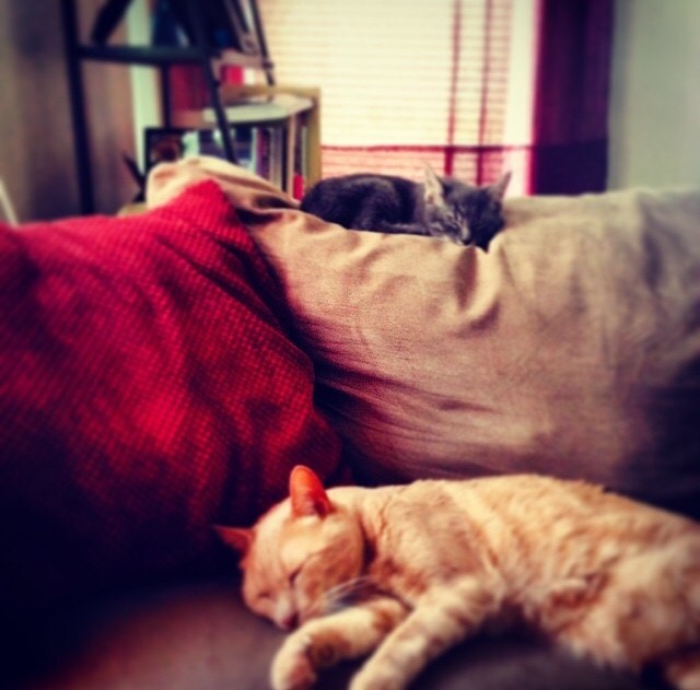 Meanwhile at home...