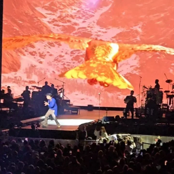 This was one of the most powerful concerts I've been to yet. @kudaibergenov.dimash makes you feel all the feels while putting on a visually stunning show. I met a lot of really fun fans as well, making this whole NYC adventure an overwhelming positiv