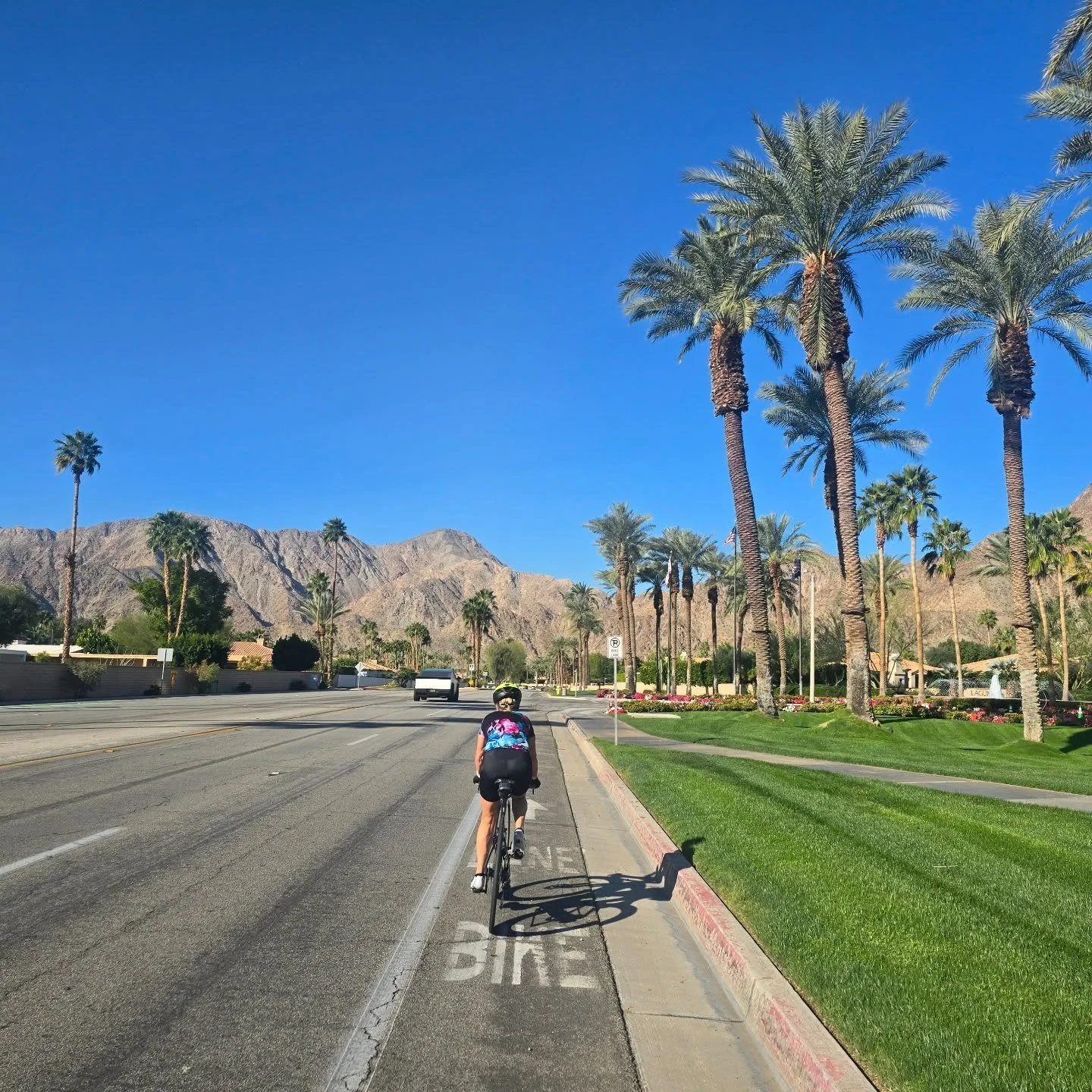 Keeping the February tradition going by following @diannemichelek to sun filled places and riding bikes. This trip is reinforcing my love of palm trees 😎

#sunshineishappiness #getonyourbike #cyclinglife #getoutside #travelwithfriends