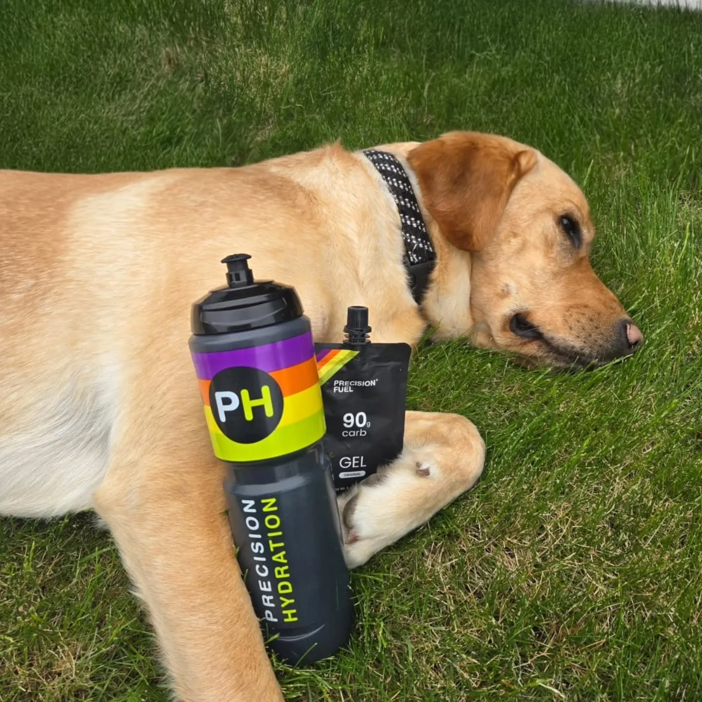 Bee 3 Tri Camp Day 4. A nice little post run swim amd transition setup practice. So happy for our new team mascot support throughout the day. Thanks to @jm00n3y13 and @mik_tri_it_does_ironman for their swim skill guidance amd drills. 

#bee3tricamp #