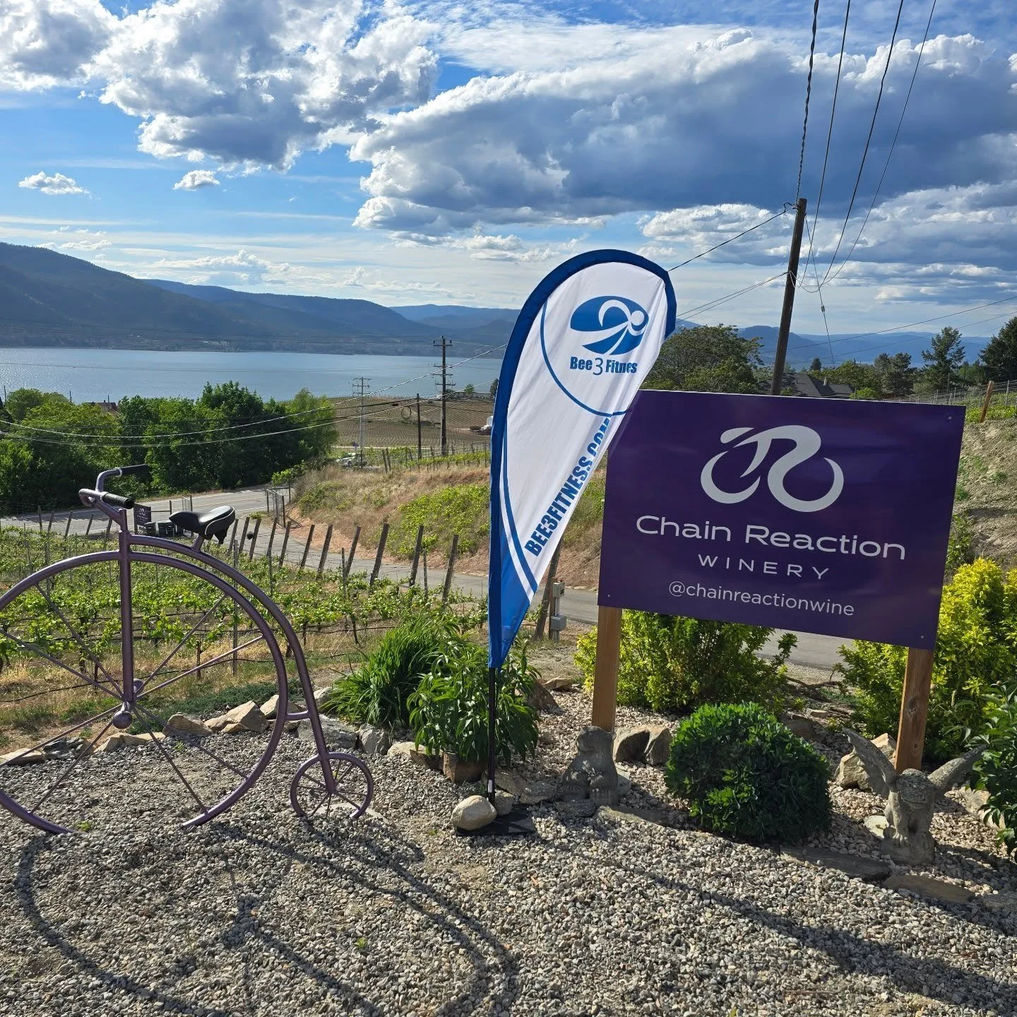 Bee 3 Tri Camp Tream Dinner. We are so greatful to @chainreactionwine for hosting our team awards dinner every year! It's a beautiful way to wrap up a fun weekend of playing triathlon, catching up with and making new friends while sharing what we lea