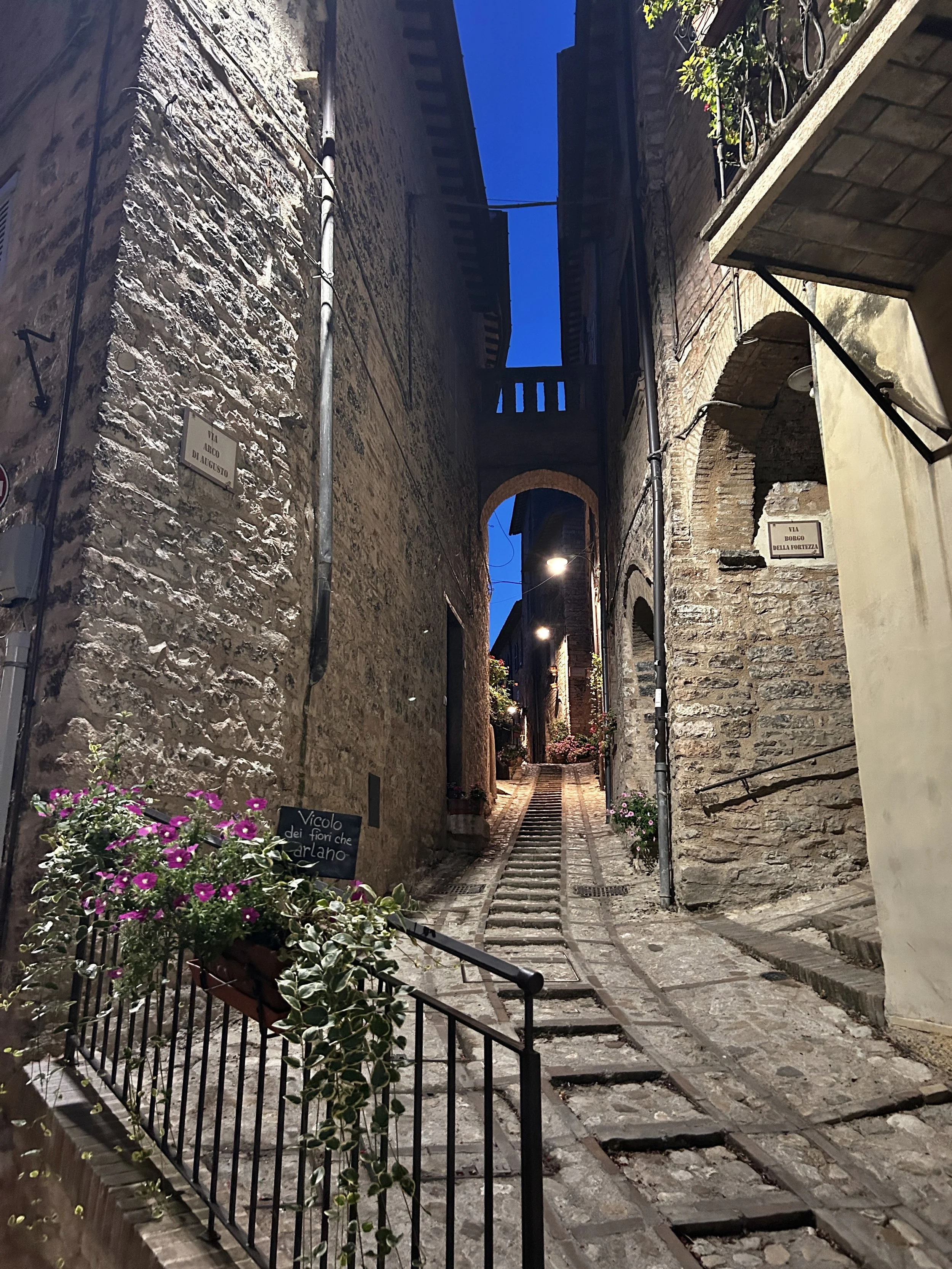 IMG_2420 2.jpg