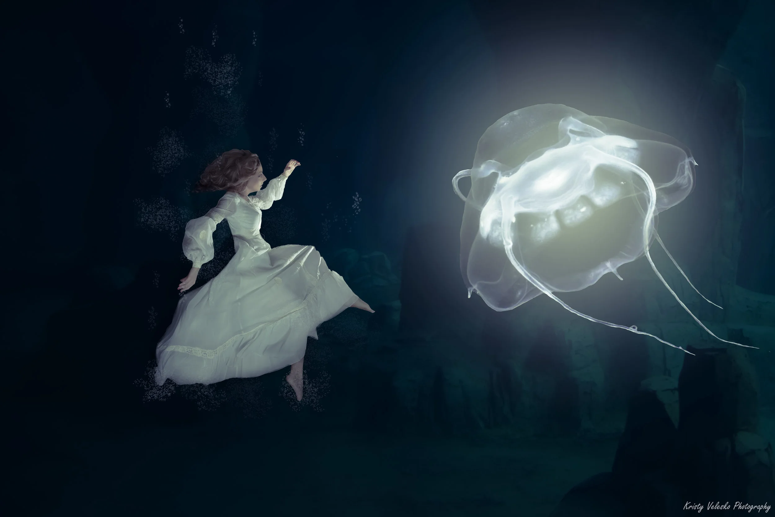 Jellyfish