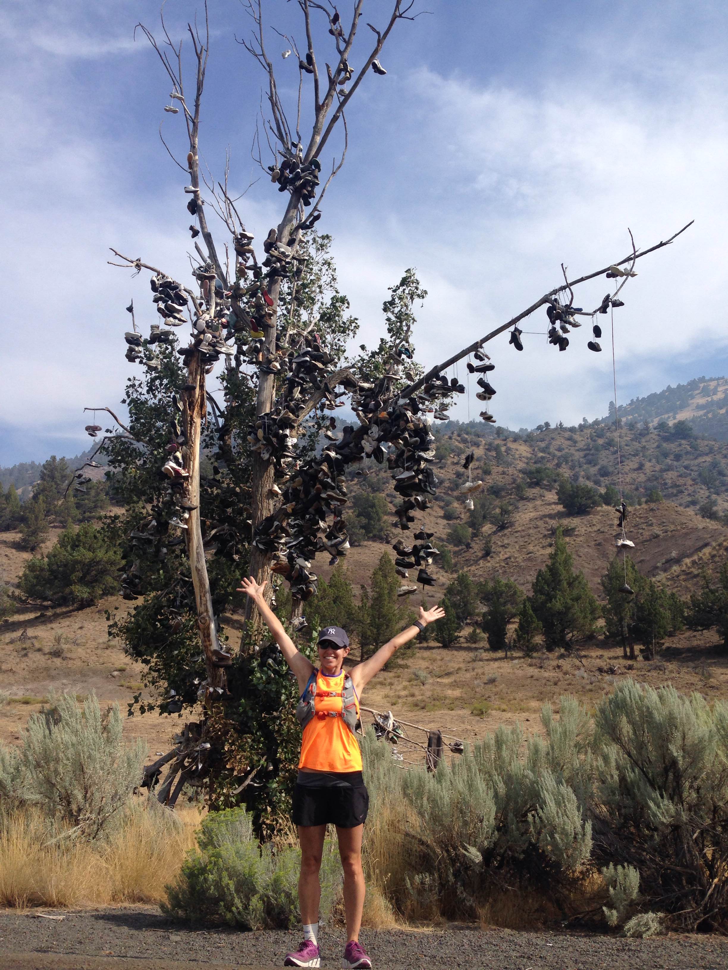 A shoe tree! Hopefully one of many we encounter. #needmoreshoes 
