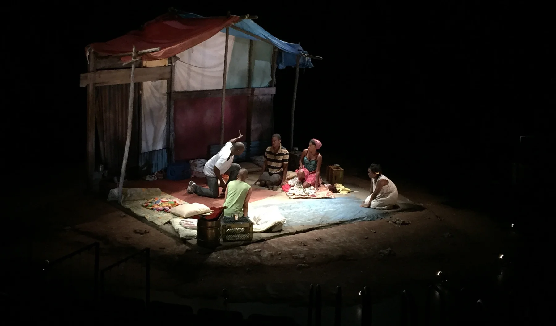 the last tiger in haiti 1.jpg