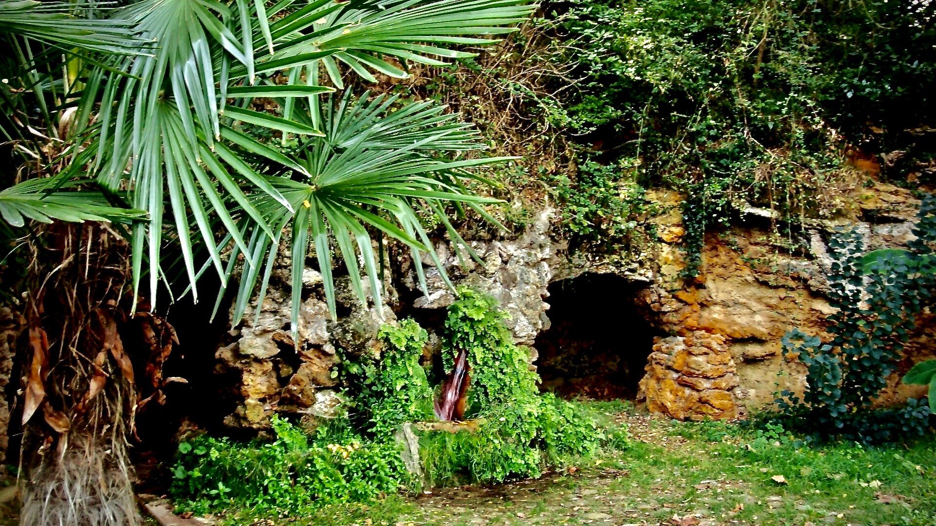 Campagne-les-Bains, France - Sacred Spring, Cave, and Palm Tree Tropical France - Bugarach, France - Bugarach with Fence View from Rennes-le-Château - Photo by Allysha Lavino.jpg .jpg