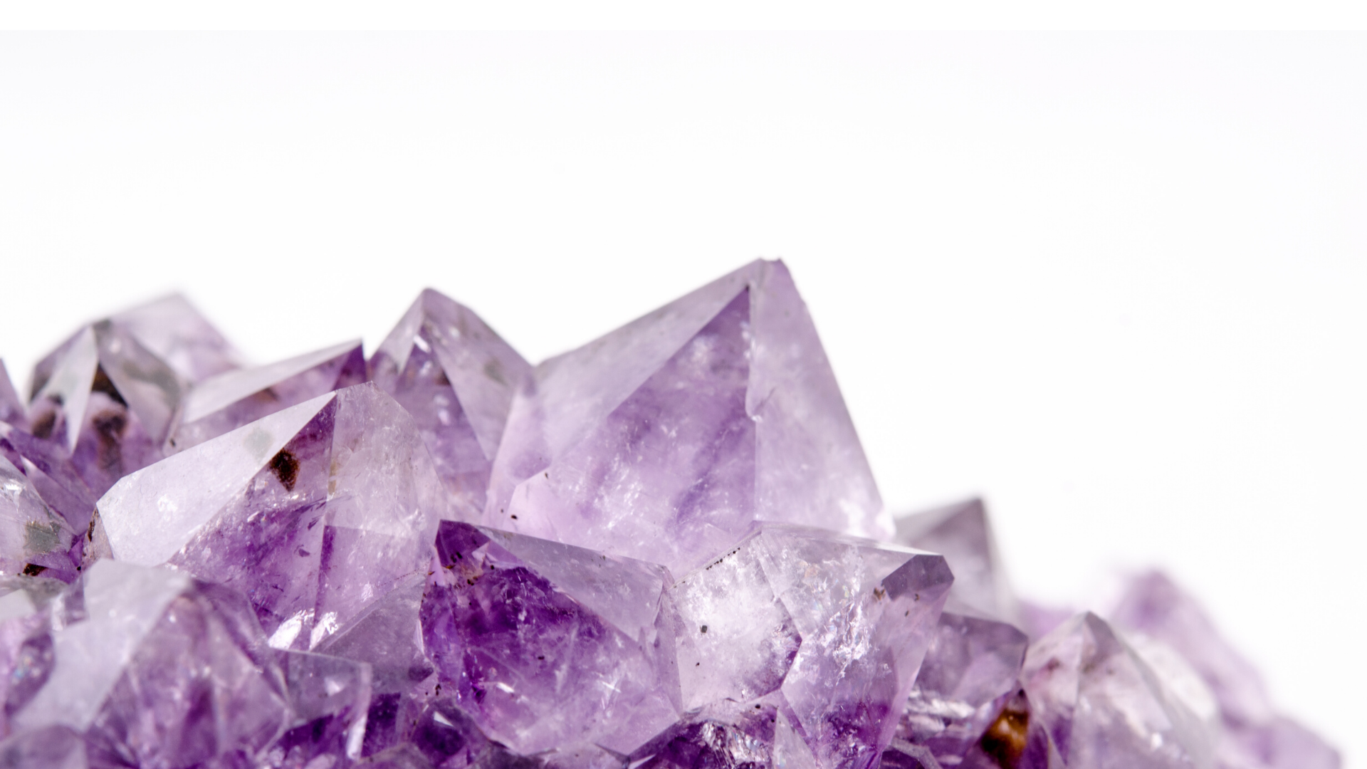 Untitled design (2).png