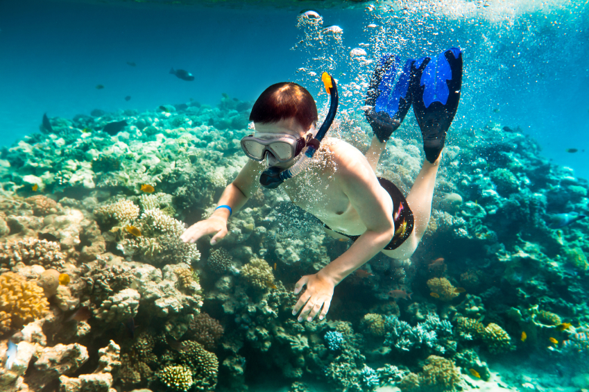 iStock_000013806670Small BOY SNORKELING 2.jpg