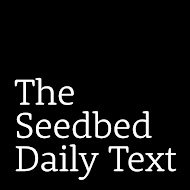 seedbed.jpg