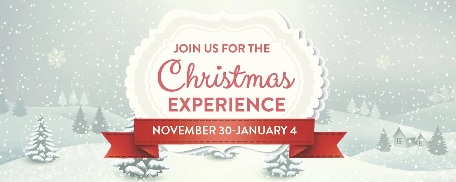 Christmas Experience: At Just the Right Time
