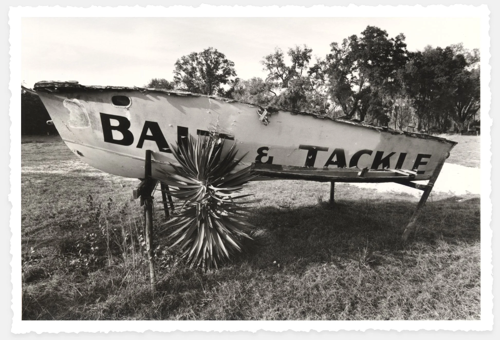 bait-tackle-2000w.jpg