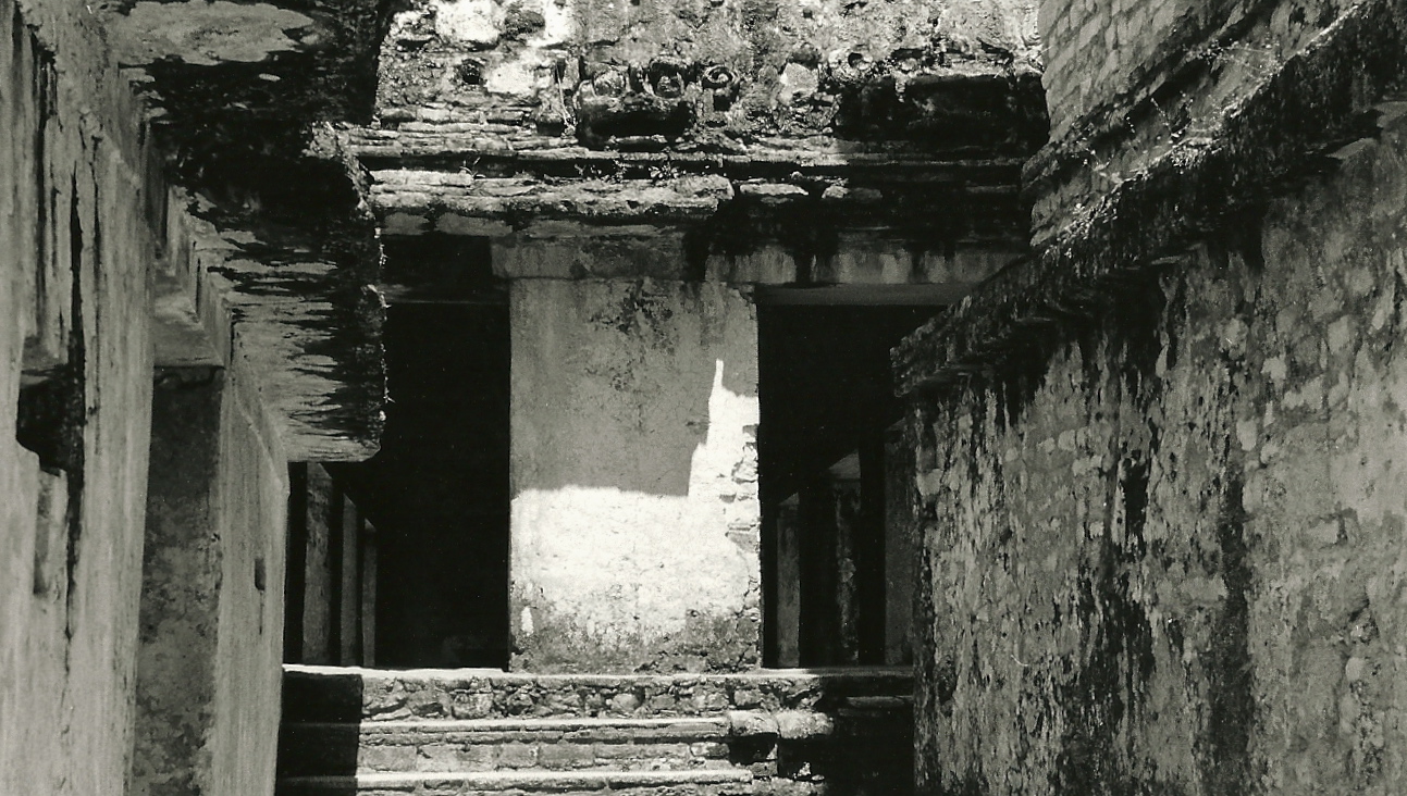 maya1.jpg