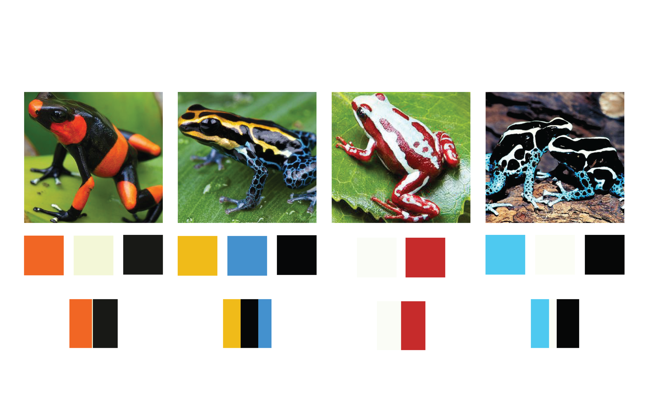 dartfrogs-02.png
