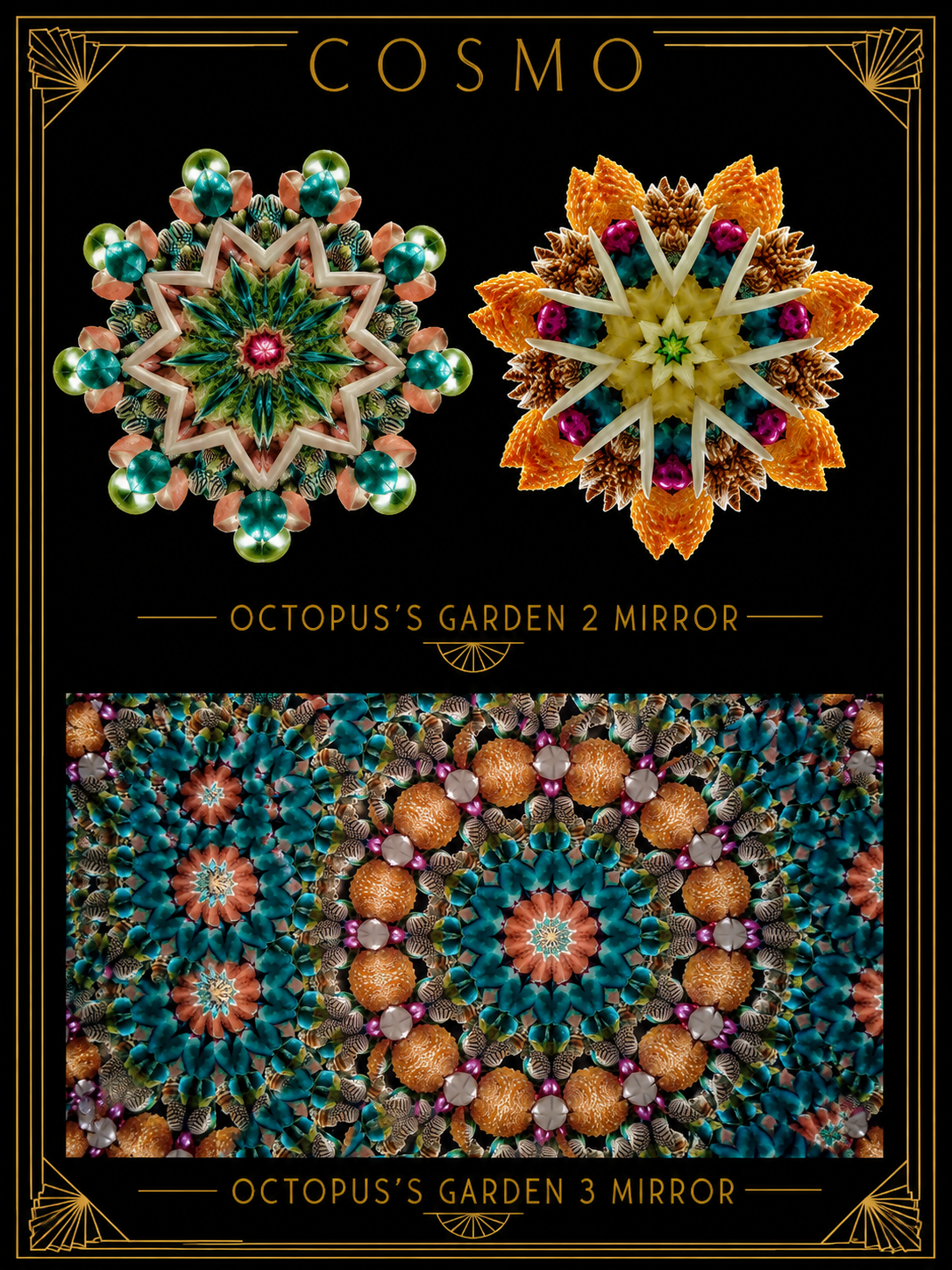 OCTOPUS'S GARDEN.png