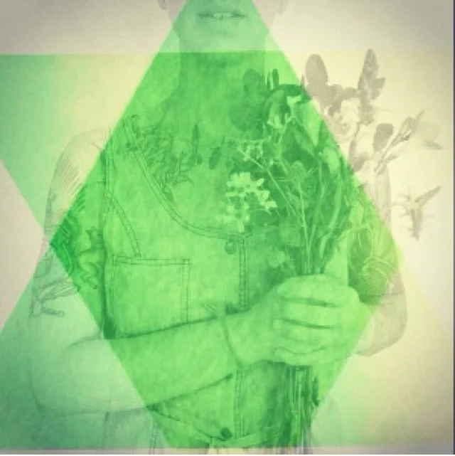 image 3.jpeg