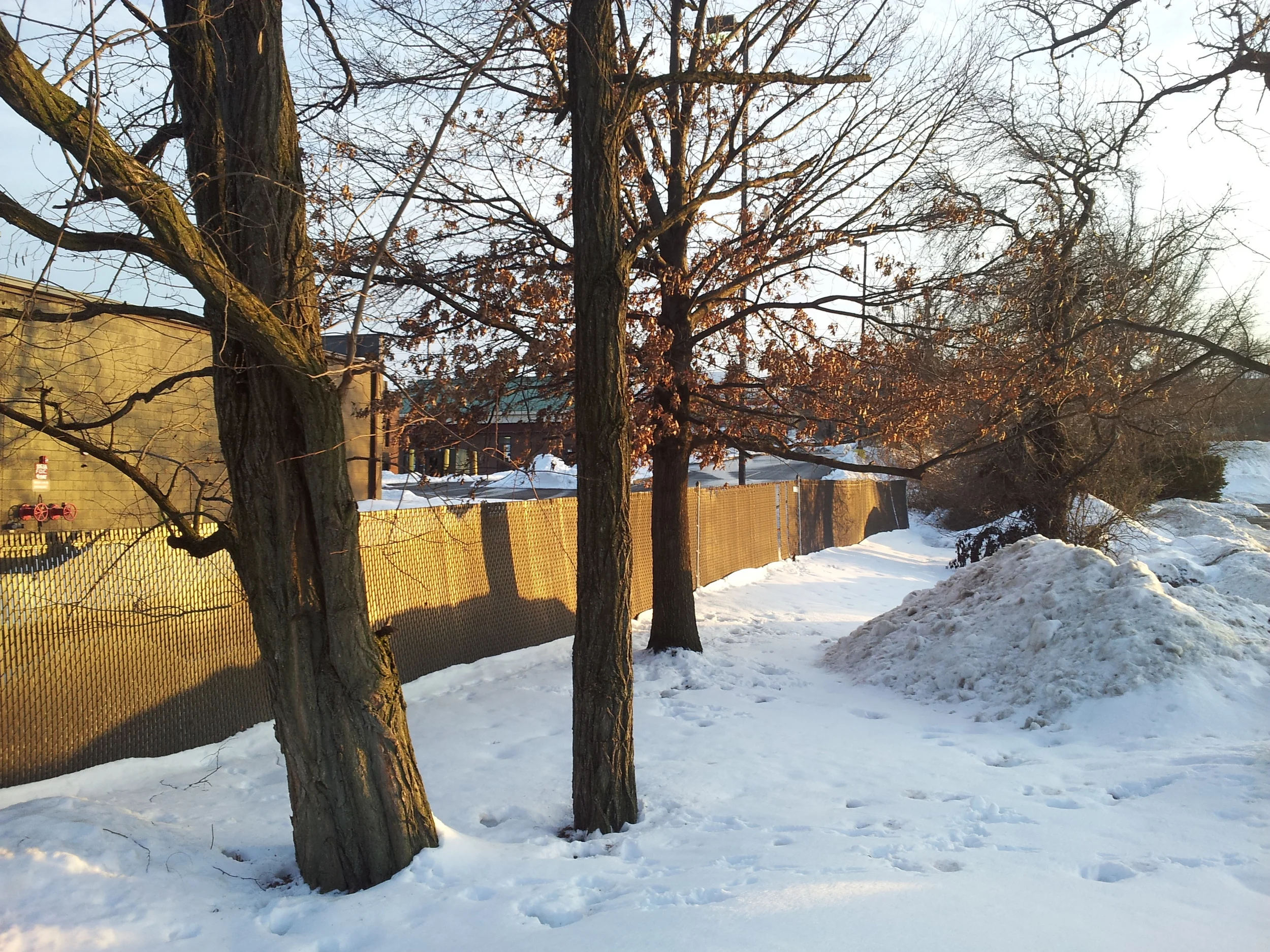 20150222_172651.jpg