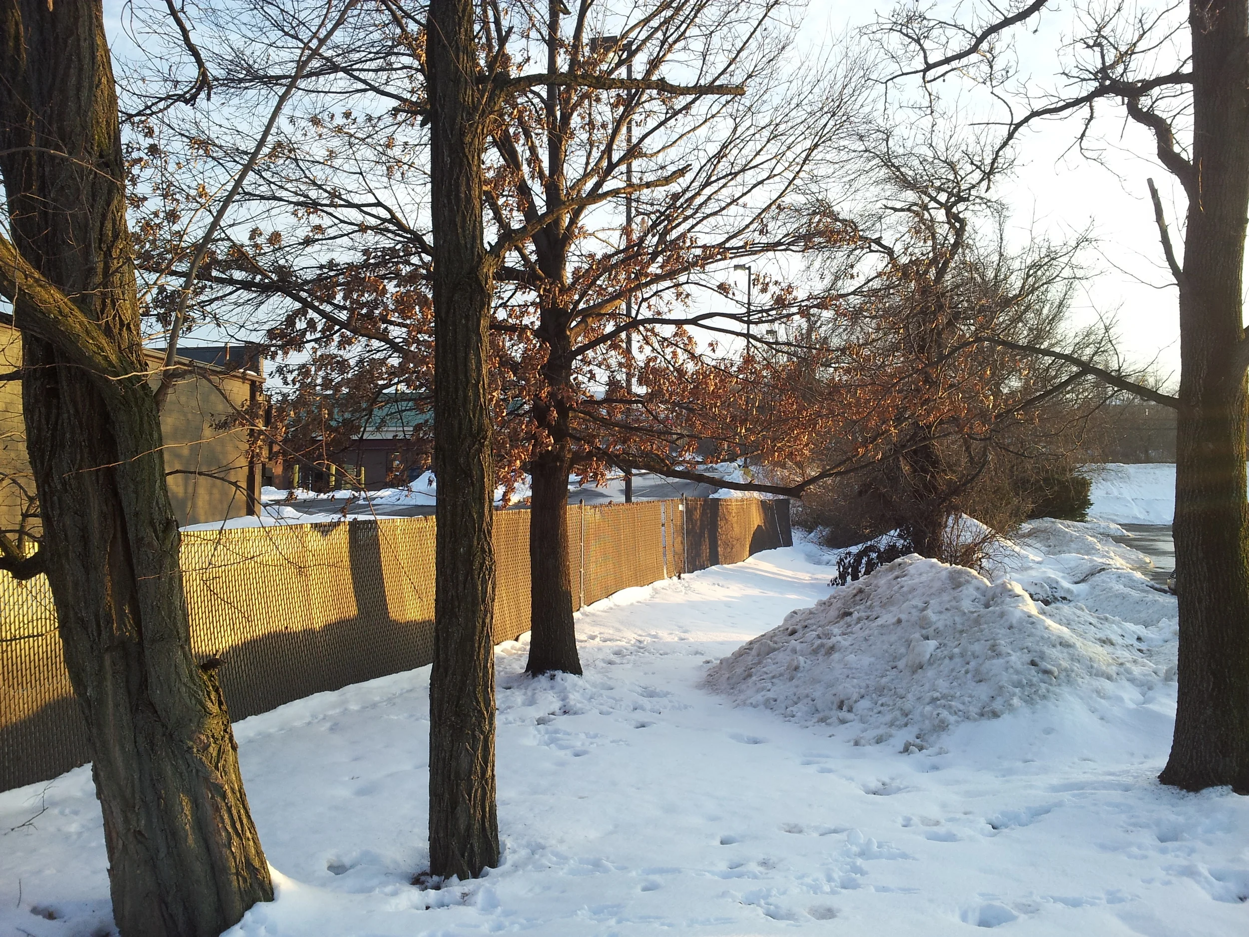20150222_172656.jpg