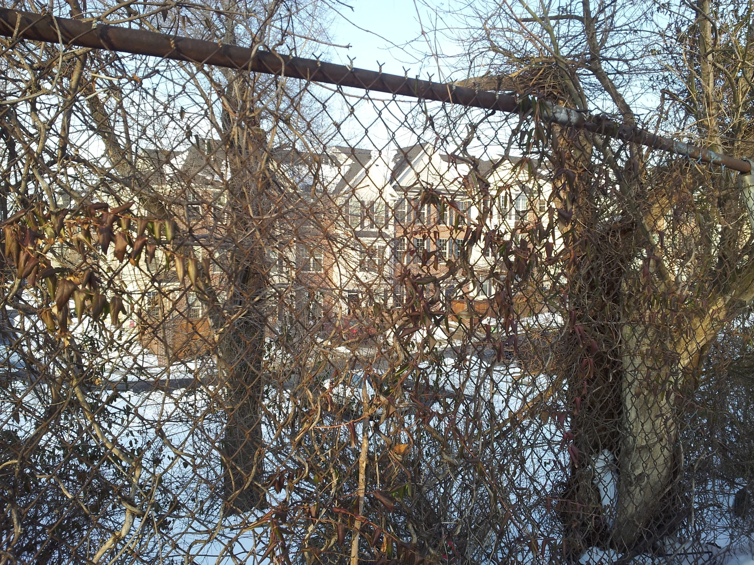 20150222_170104.jpg