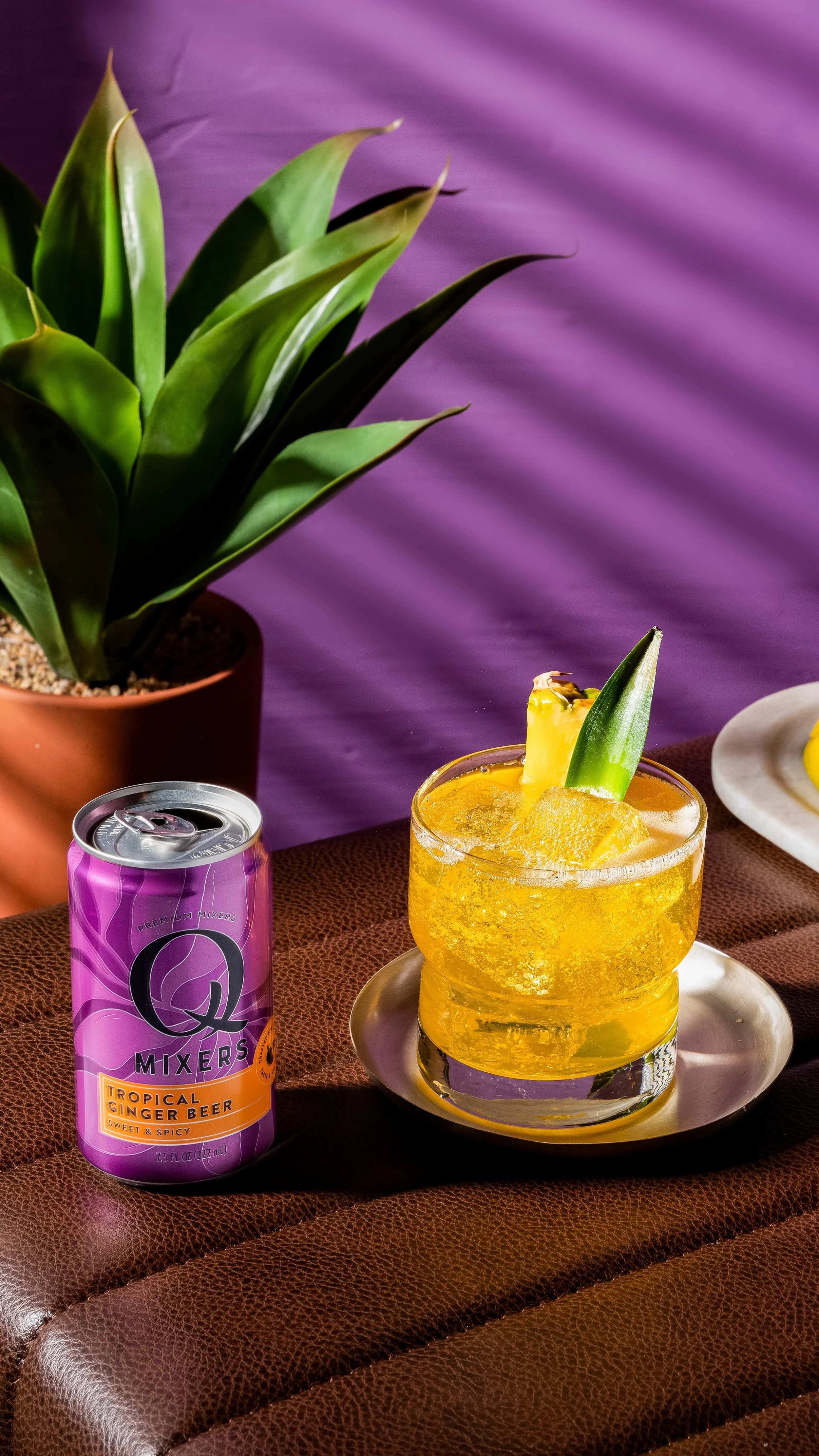 Q Mixers_TropicalGingerBeer_CROWN MULE_can_9x16.jpeg