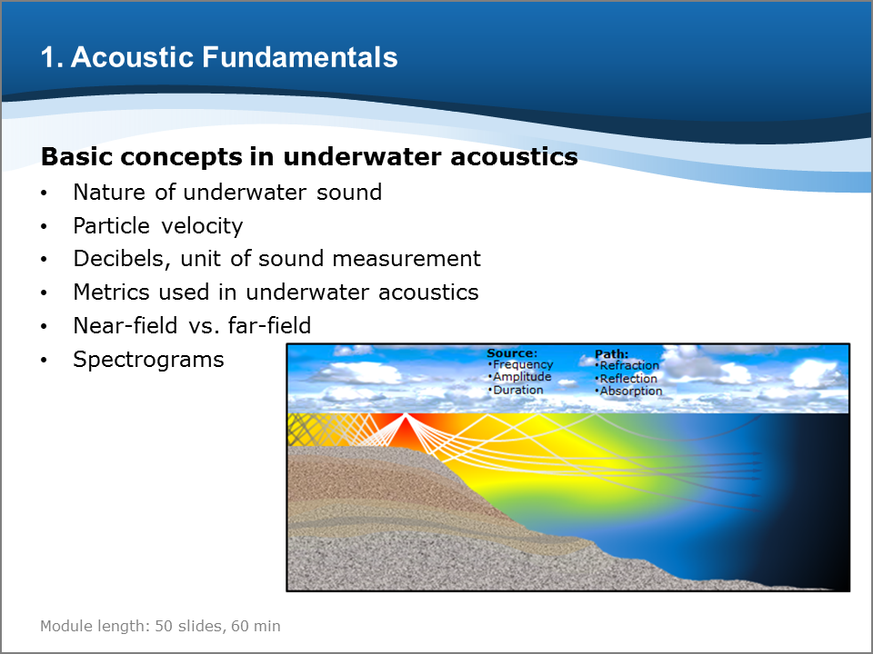 Bioacoustics Training Course: