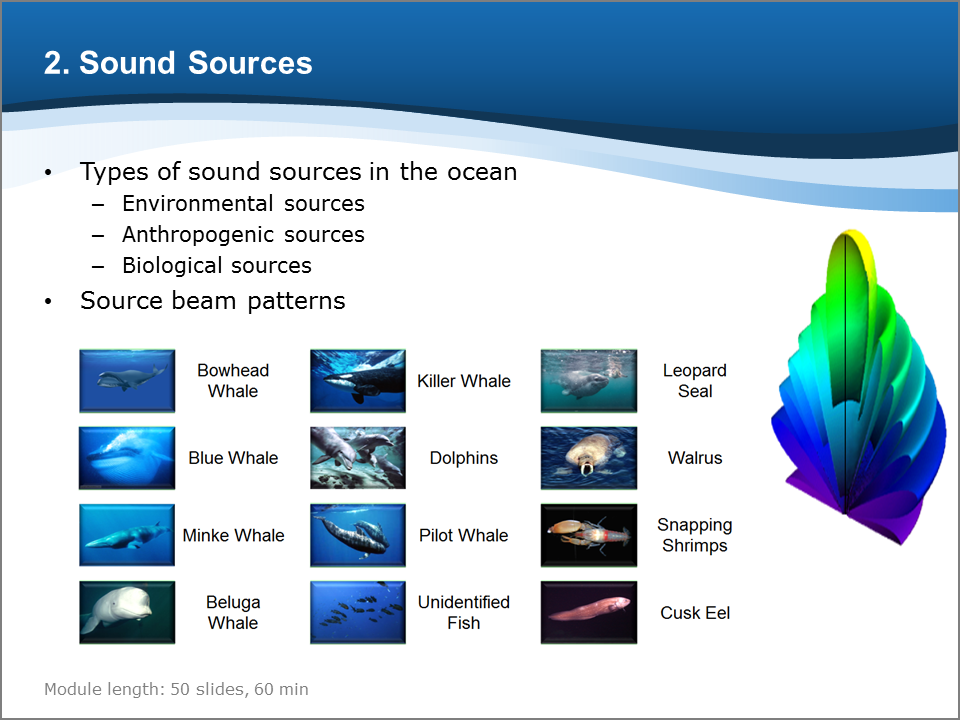 Bioacoustics Training Course: Sound Sources