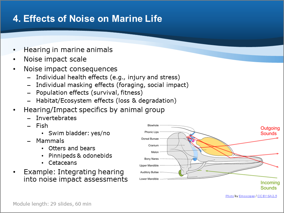 Bioacoustics Training Course: Effects of Noise on Marine Life