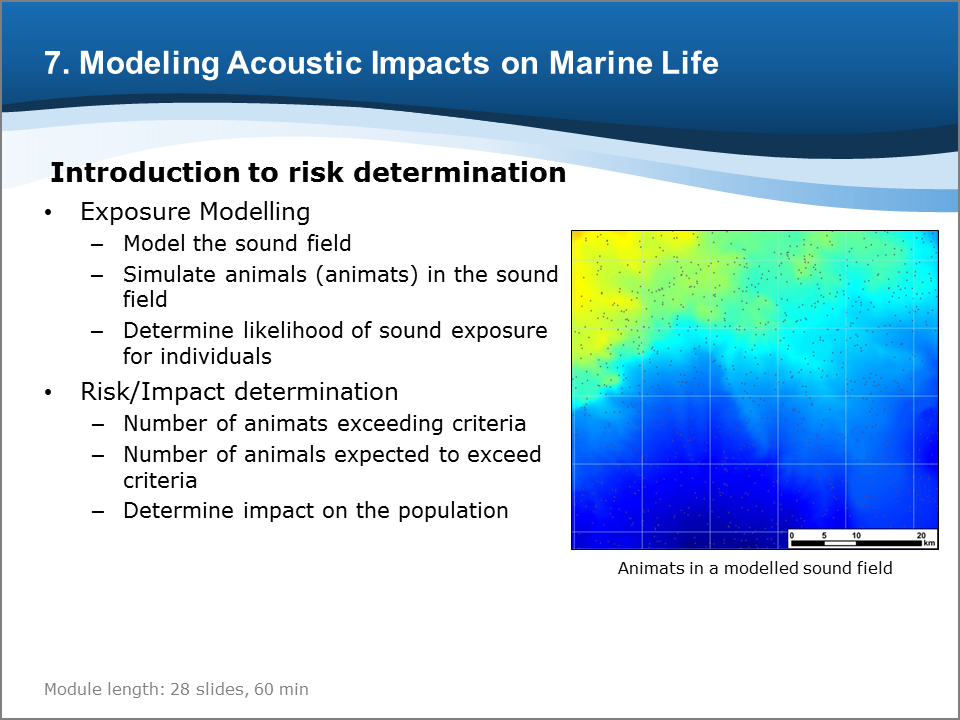 Bioacoustics Training Course: Modeling Acoustic Impacts on Marine Life