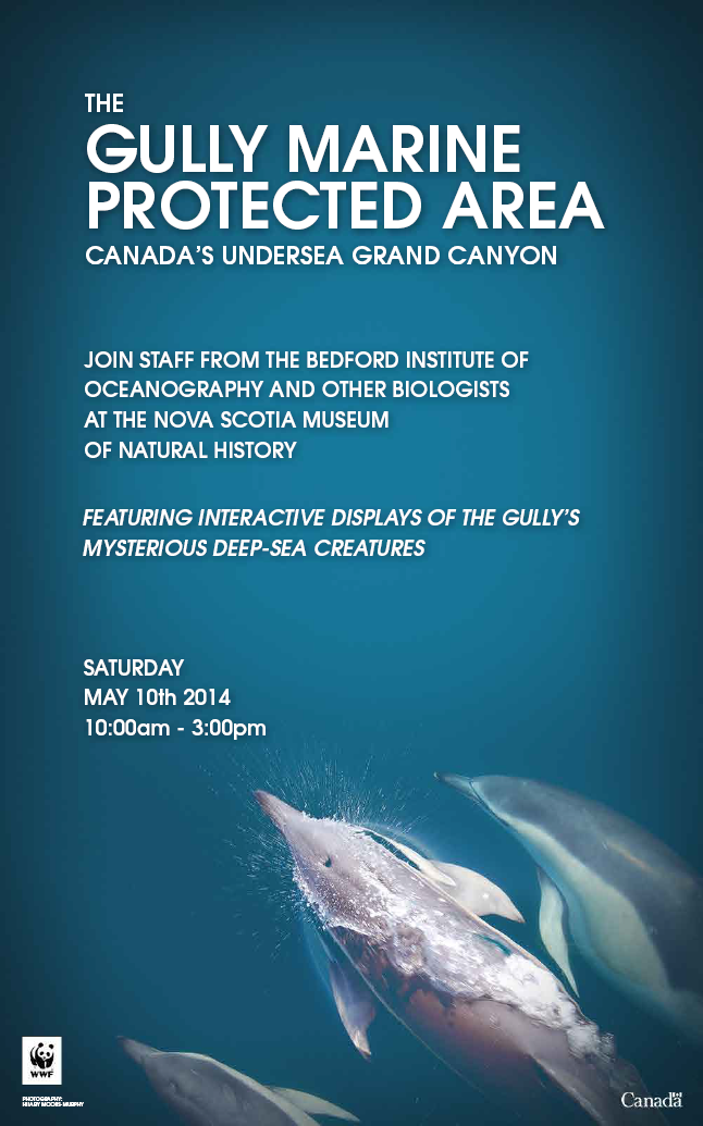 The Gully Marine Protected Area: Canada’s Undersea Grand Canyon. Join staff from the Bedford Institute of Oceanography and other biologists at the Nova Scotia Museum of Natural History. Featuring interactive displays of the gully’s mysterious deep-sea creatures.