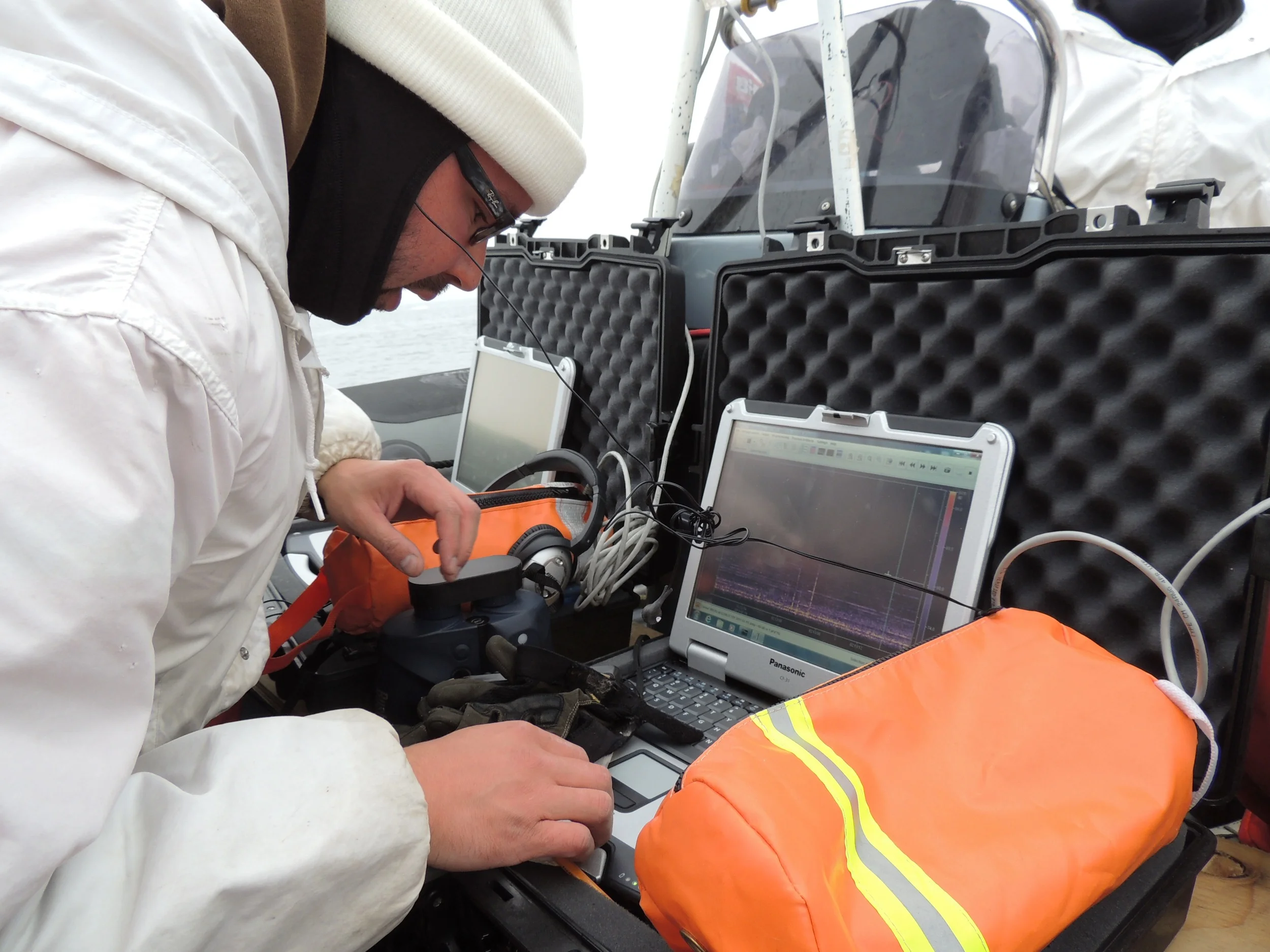 Passive acoustic monitoring (PAM) operator in the field detecting marine mammal calls
