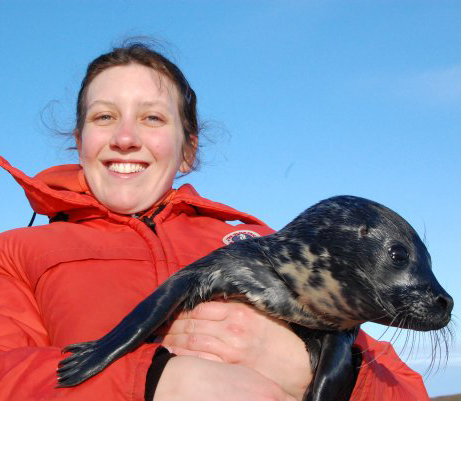 An AMAR to study harbour seal calls