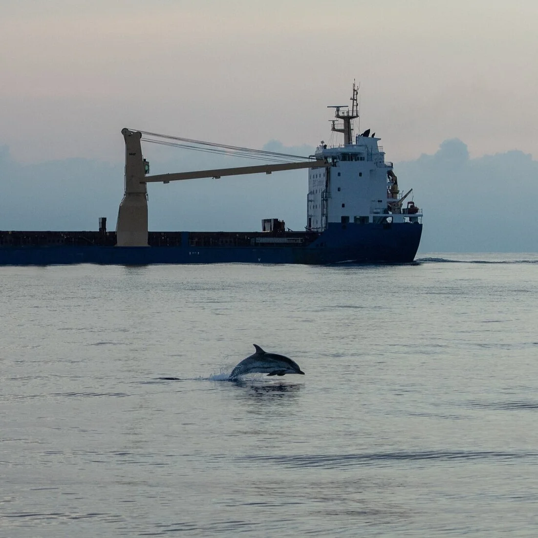 With JASCO among its partners, SATURN seeks solutions to underwater noise