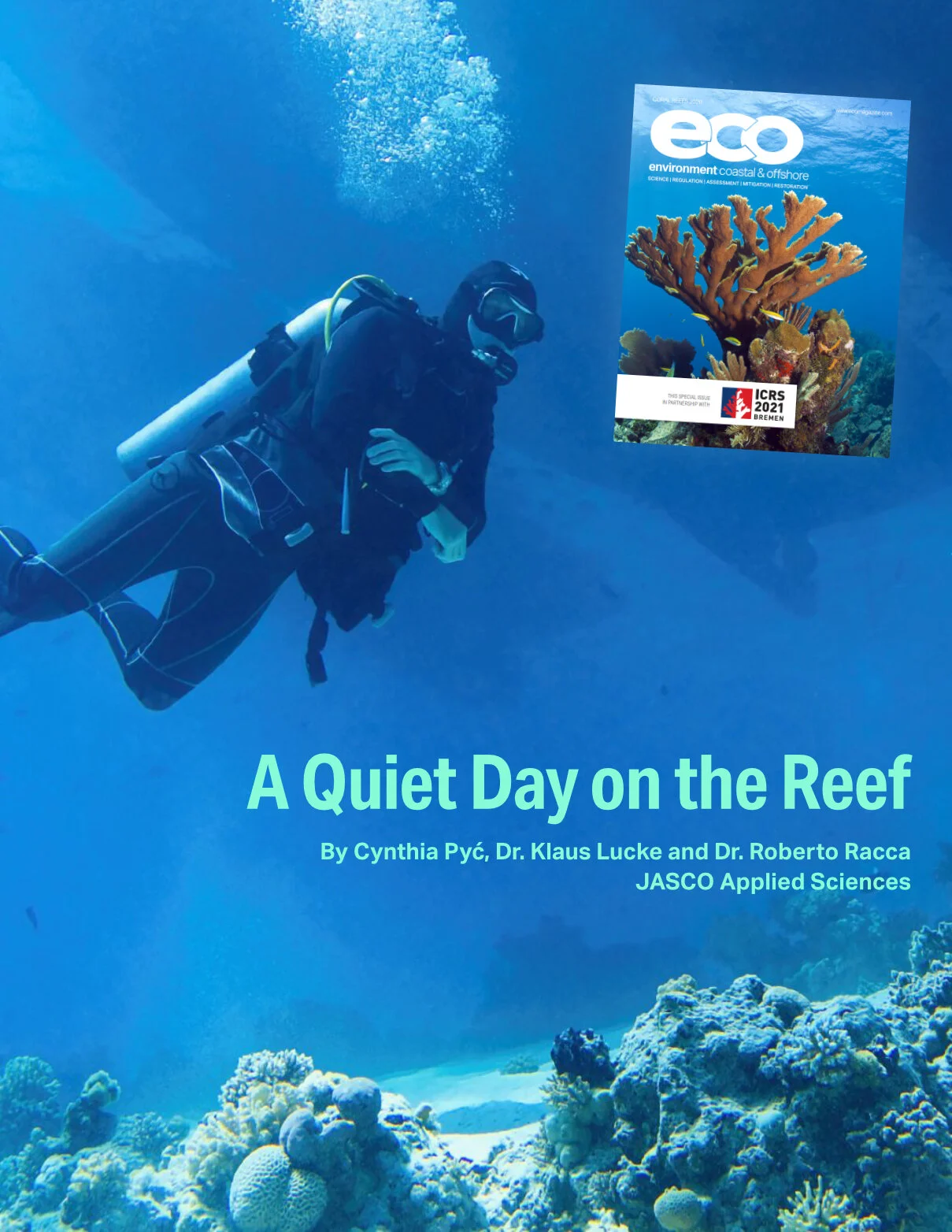 A Quiet Day on the Reef