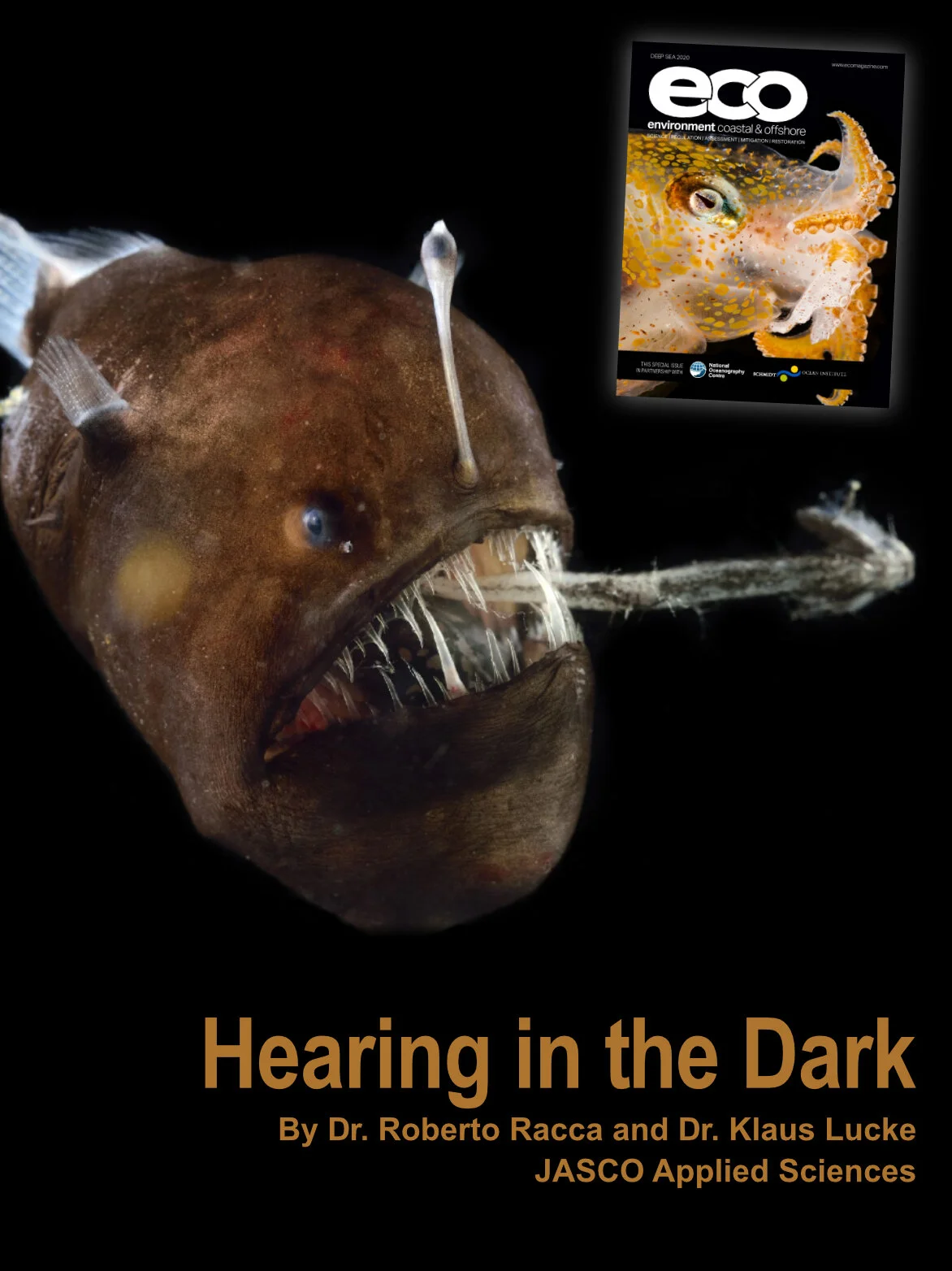 Hearing in the Dark