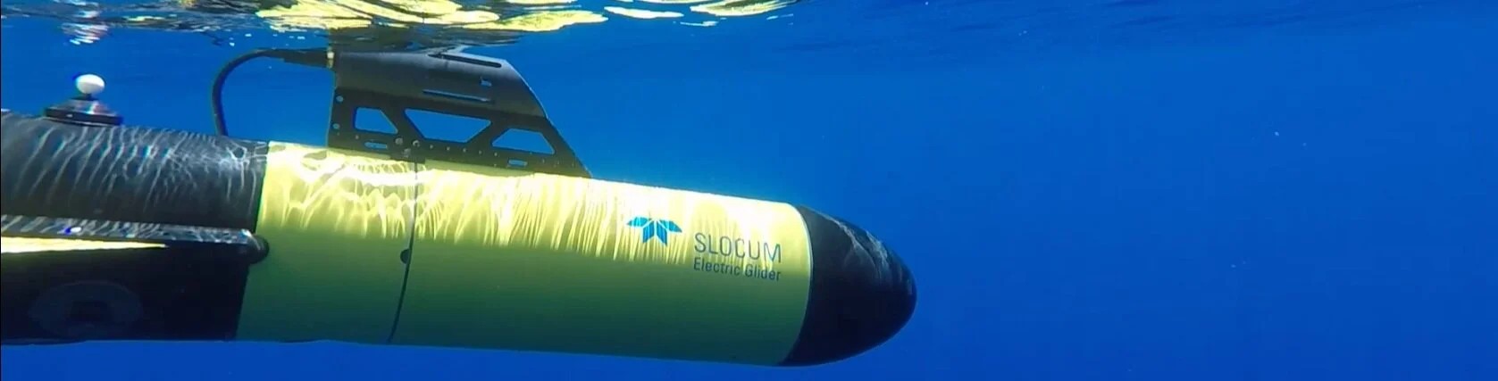Canary Slocum Underwater 4.png