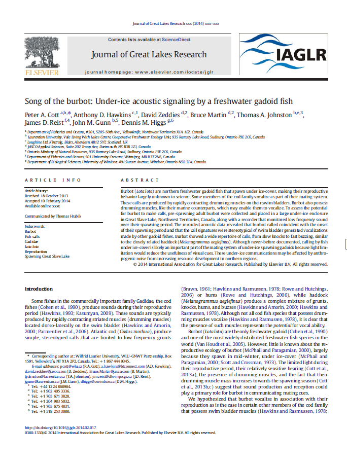 Song of the burbot: Under-ice acoustic signalling by a freshwater gadoid fish
