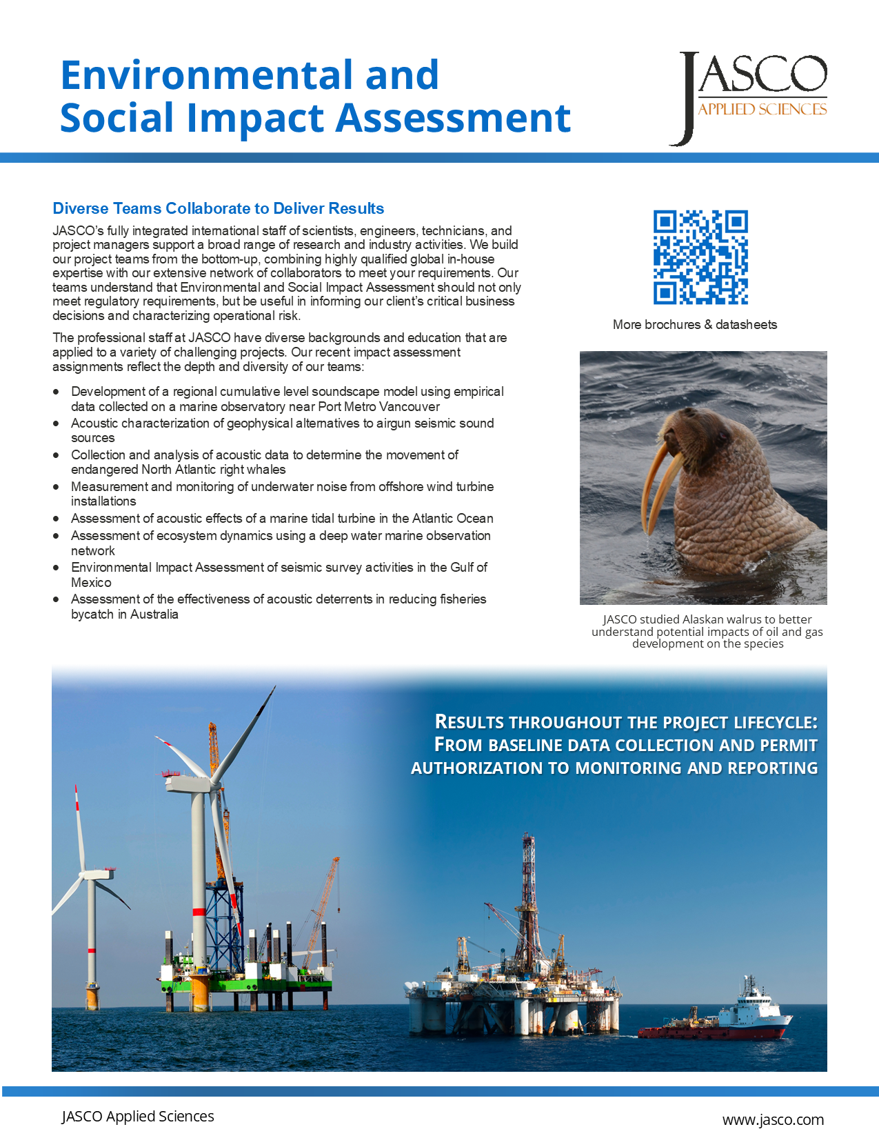 Environmental and Social Impact Assessment Brochure