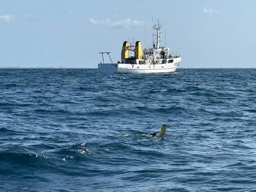 REPMUS 2025_Glider in water.jpg