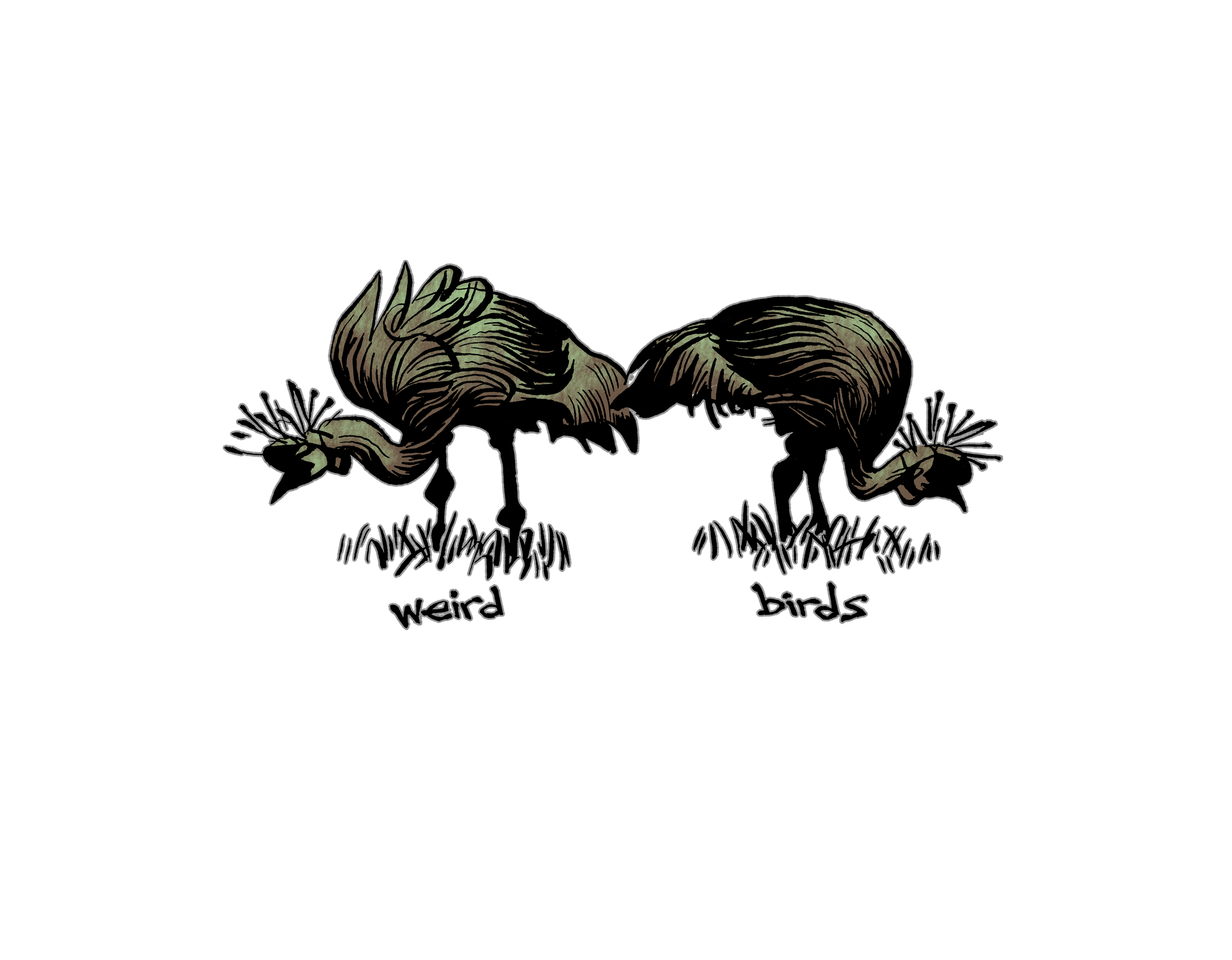 **weirdbirdsouts.png