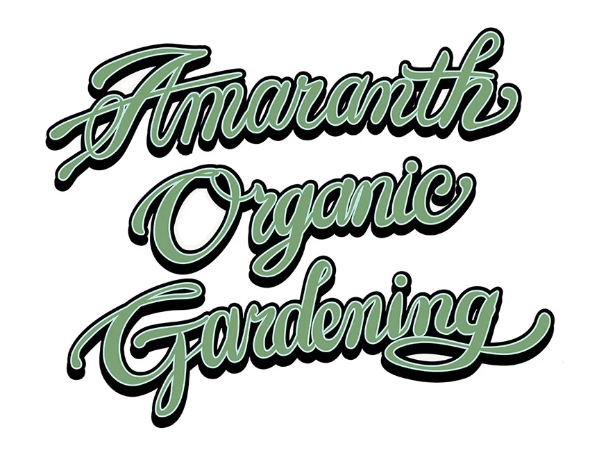 amaranth850.jpg