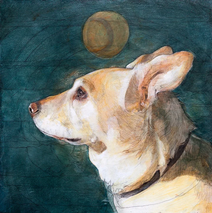 murphy_1 copy.jpg