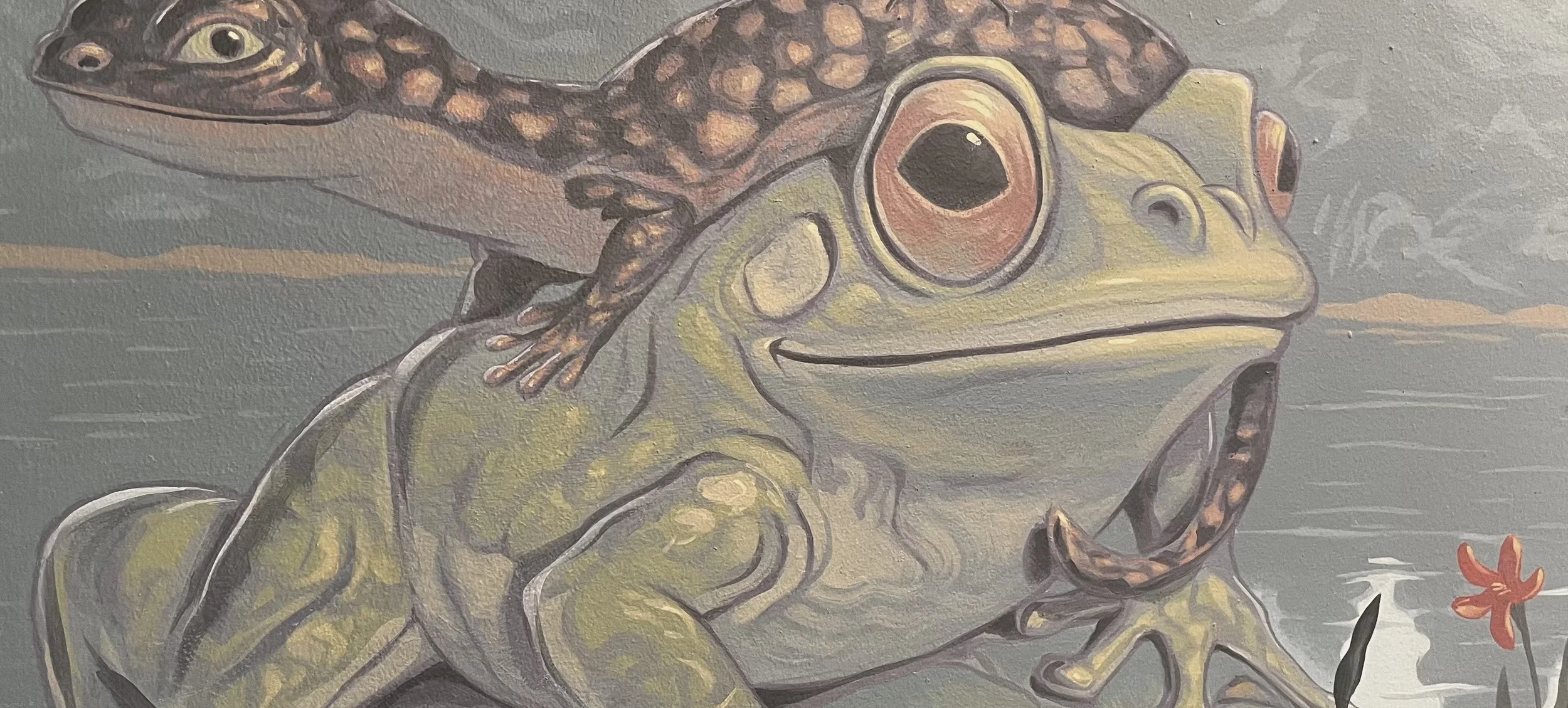 FROG CROPPED.jpg