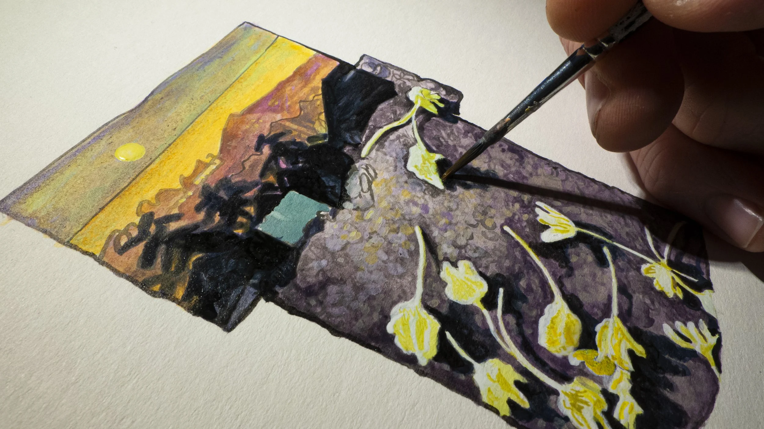 splash BANNER PIC.jpg