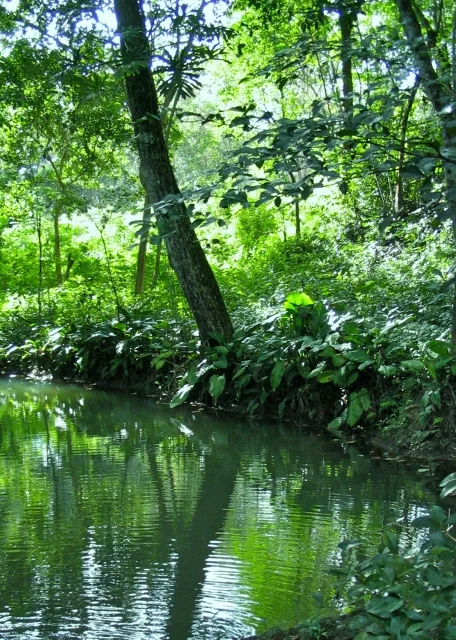 Belize1 130 (456x640).jpg
