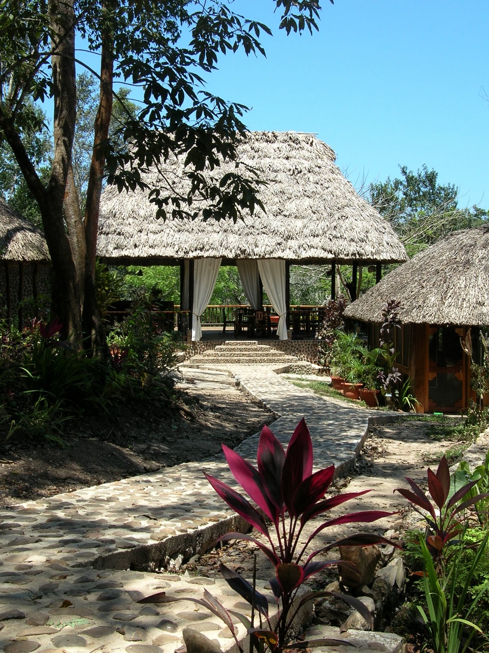 Table Rock Lodge - Belize Jungle Lodges -Cayo District - All Inclusive Vacation Packages to Belize - SabreWing Travel 