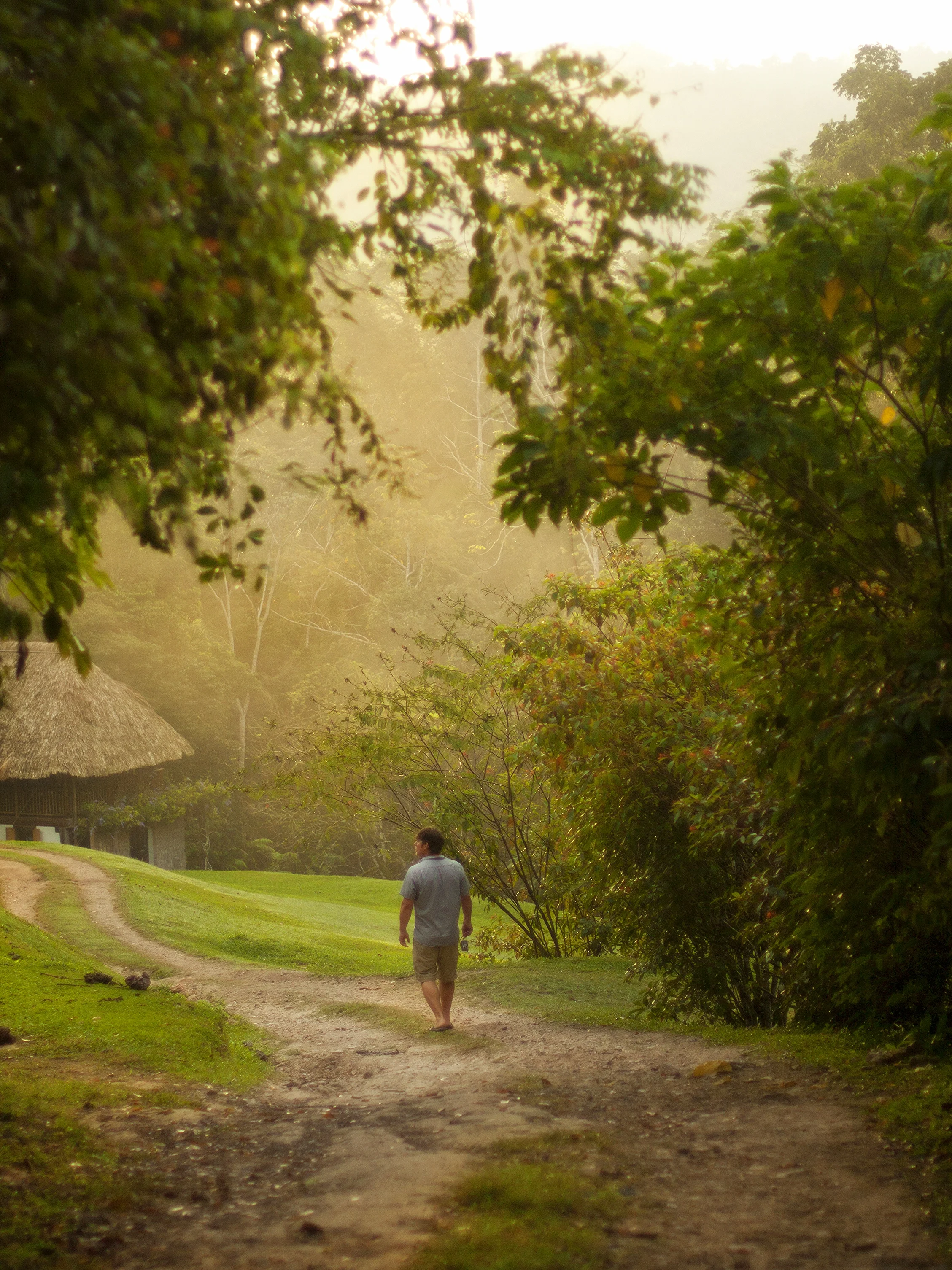 Pook's Hill Lodge, Belize Jungle Lodges, Cayo District, All Inclusive Vacation Packages to Belize - SabreWing Travel