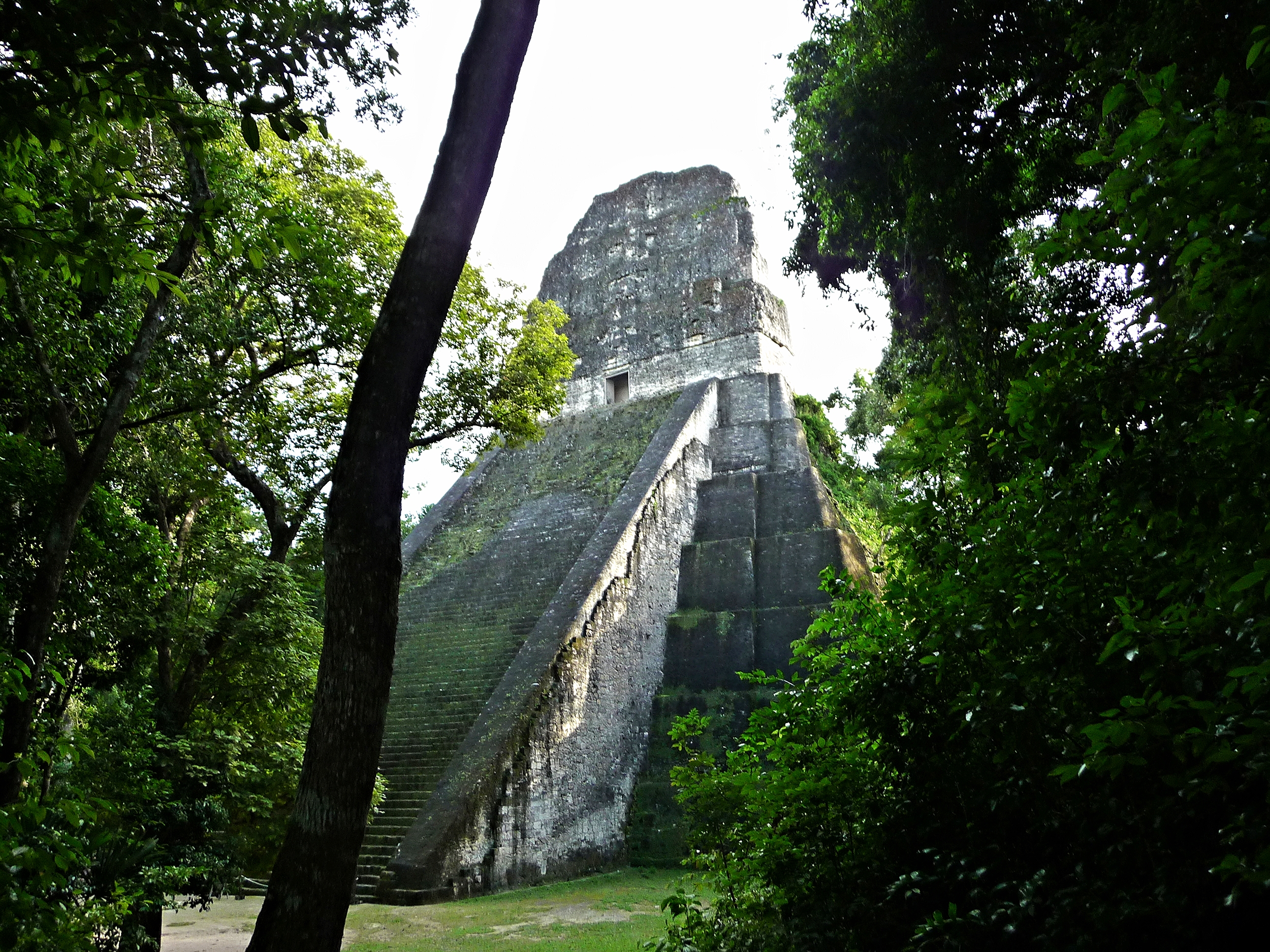 Temple Five - Tikal Maya Site - Belize Vacation Packages - Tikal - SabreWing Travel