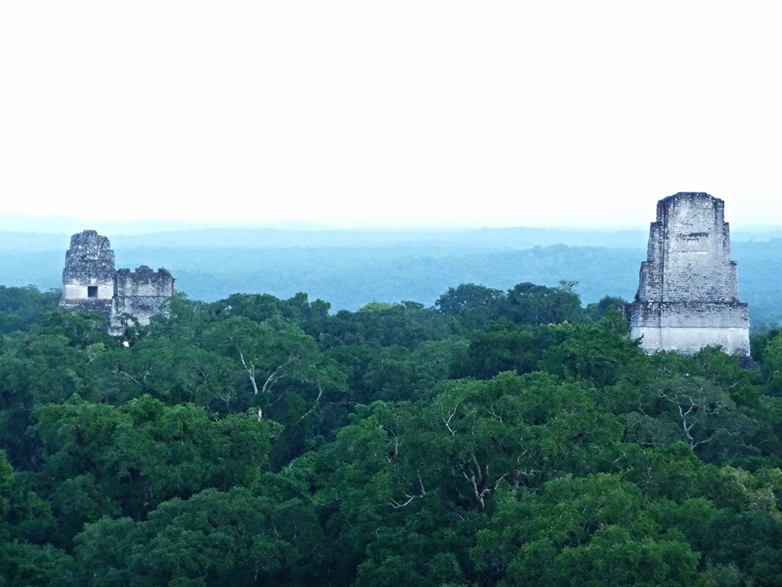 Temple Four - Tikal Maya Site - Belize Vacation Packages - Tikal - SabreWing Travel