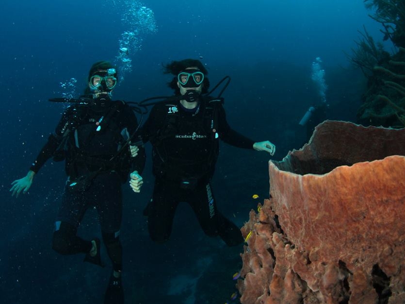 Divers at Glover's Reef, Isla Marisol Resort