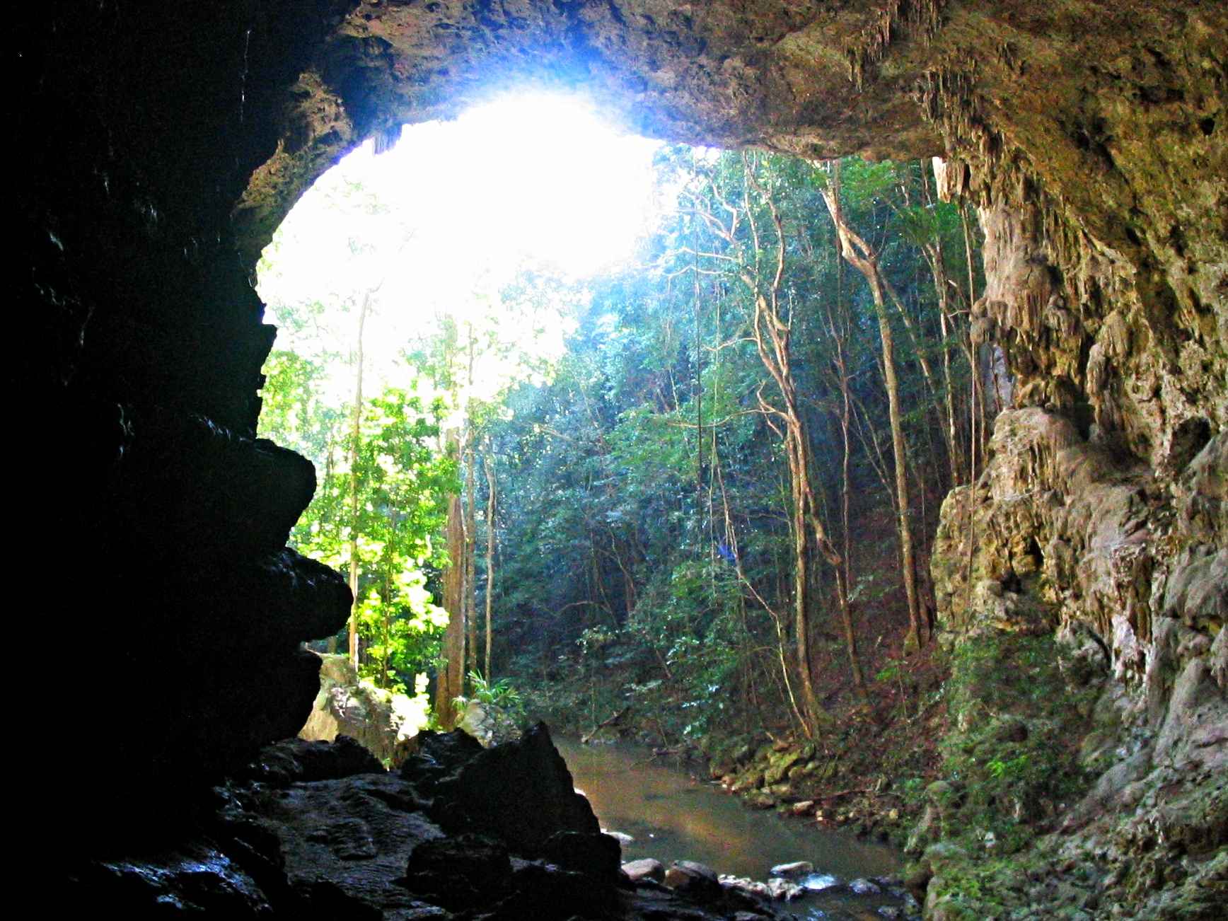 The mouth of the massive Rio Frio Cave in the Mountain Pine Ridge