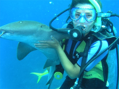 Diving from Ambergris Caye offers plenty of opportunity for close encounters with wildlife